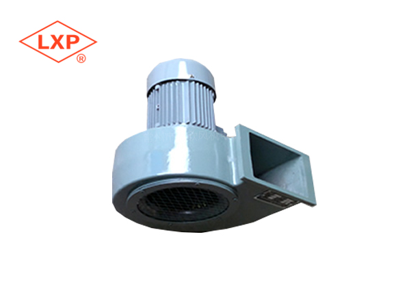 Lϵ���L�C L-03